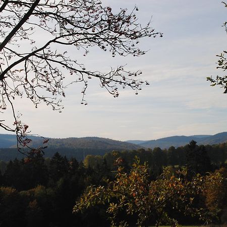 Landgasthof Gruss Brilon Dış mekan fotoğraf