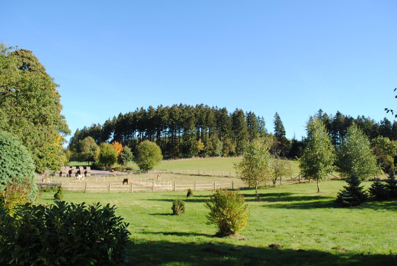 Landgasthof Gruss Brilon Dış mekan fotoğraf