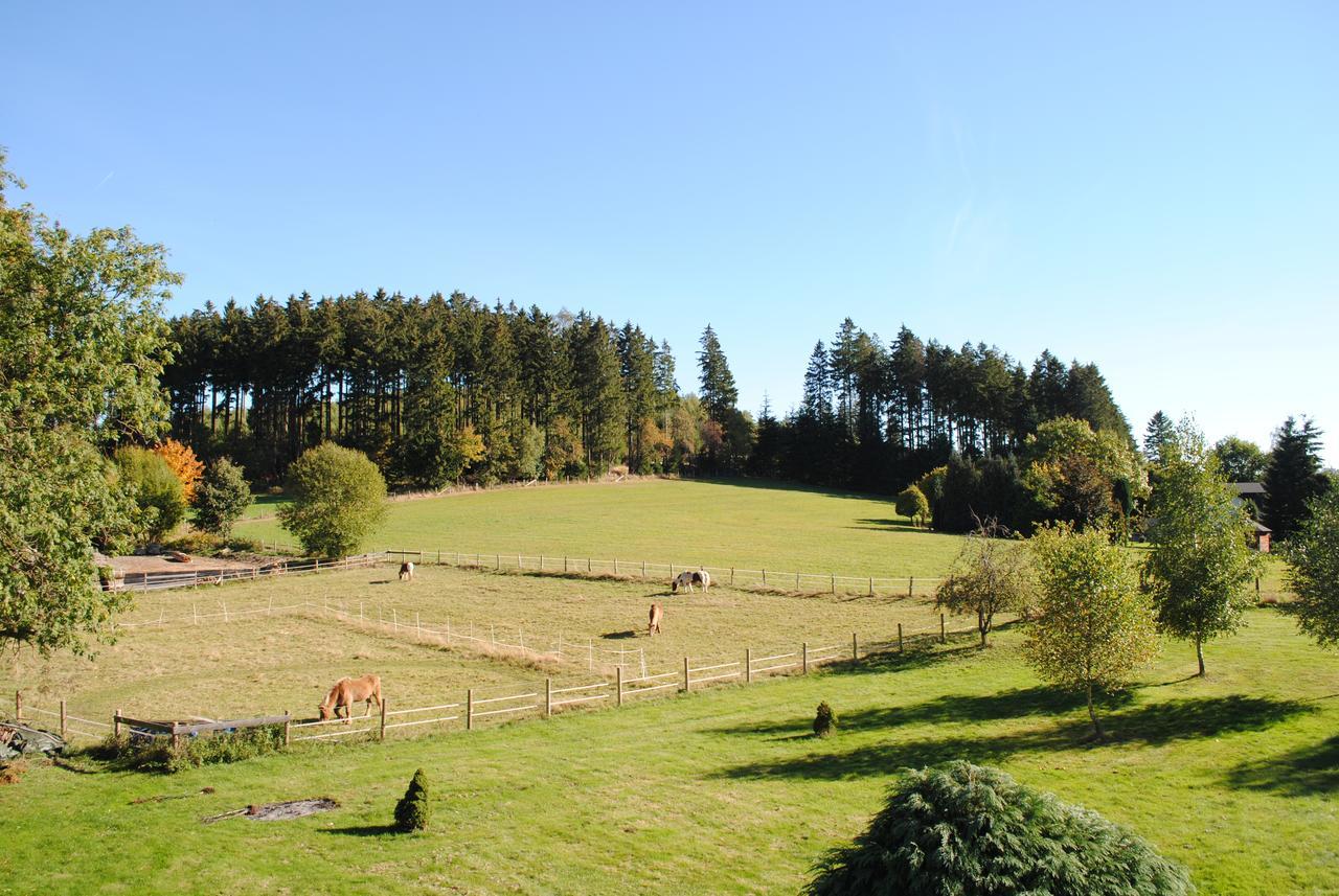 Landgasthof Gruss Brilon Dış mekan fotoğraf