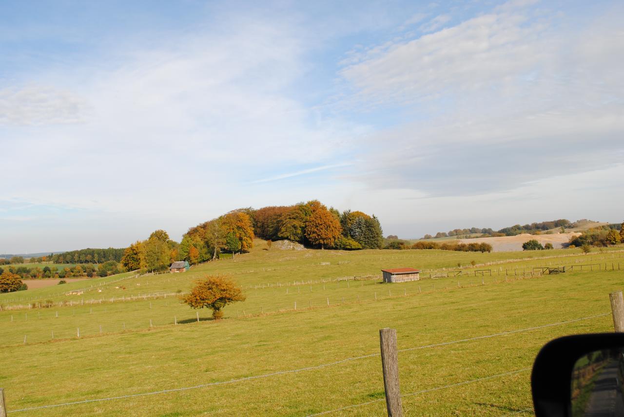 Landgasthof Gruss Brilon Dış mekan fotoğraf